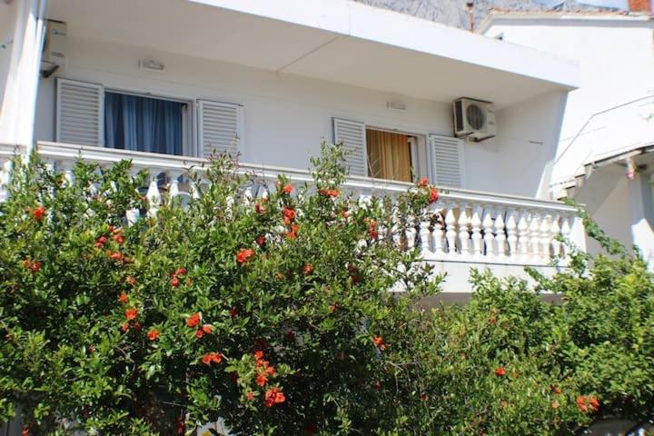 Apartments Zika Promajna Exterior foto